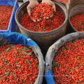 Conventional China Goji berry with high quality